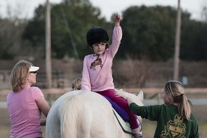 ahcb recertification with child riding horse backward